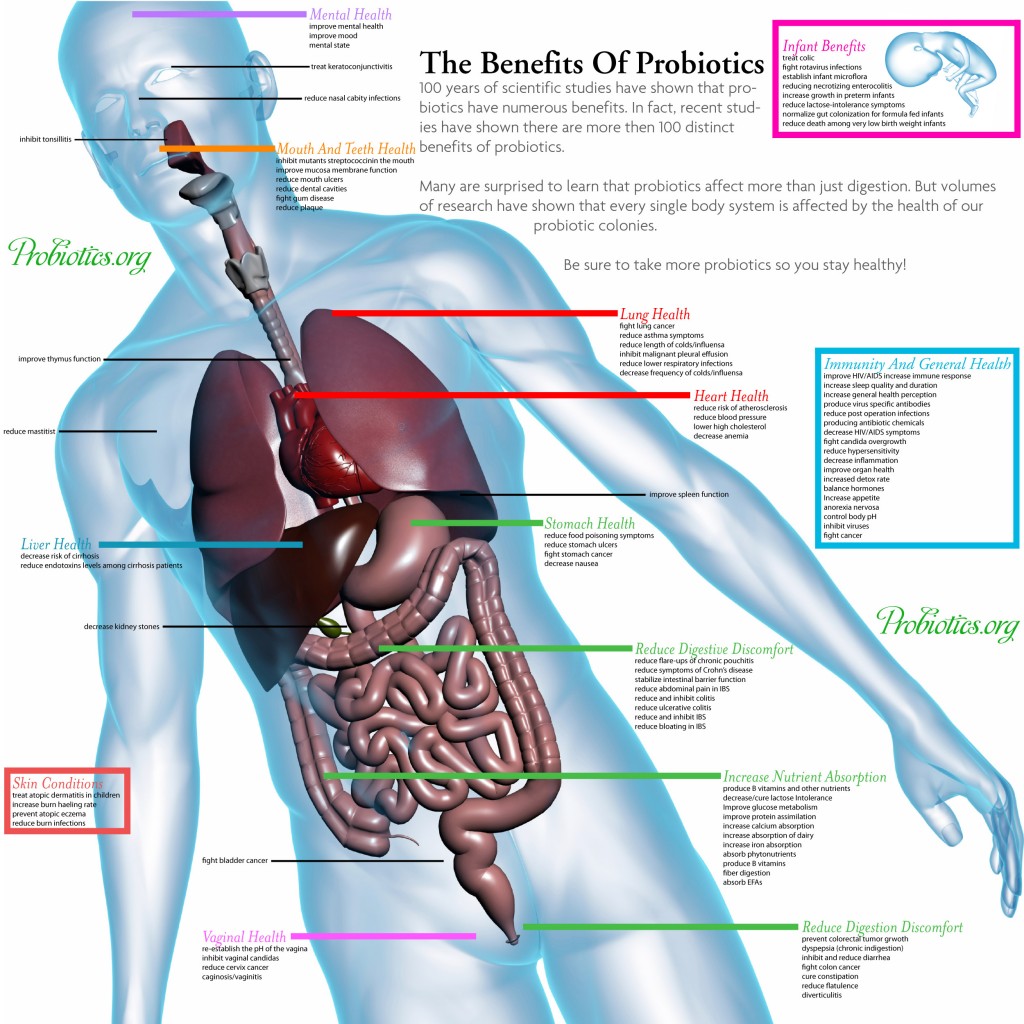 Probiotics Types Side Effects And Health Benefits