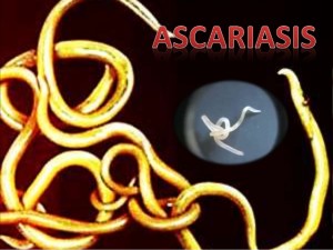 Ascariasis : Causes, Symptoms, Prevention And Treatment