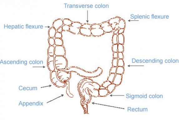 Splenic Flexure Syndrome : Causes, Pictures, Symptoms And Treatment