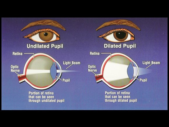 pupil dilation meaning