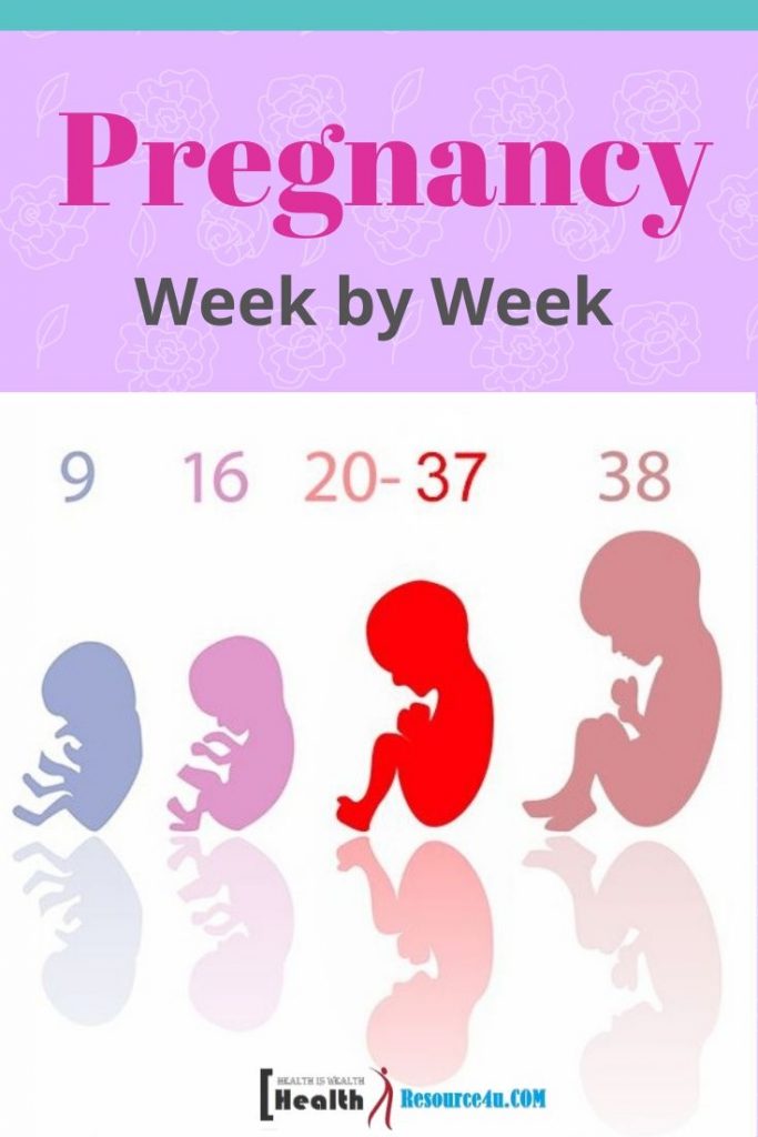 Pregnancy Symptoms Week By Week - Week 1-36