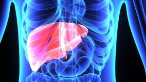 Enlarged Liver: Hepatomegaly Causes, Symptoms And Treatment