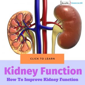 9 Most Effective Tips To Improve Kidney Function